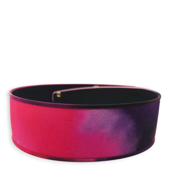 B15 70/28 Multi-colour Belt in Fabric, Calf, Gold hardware - Image 3