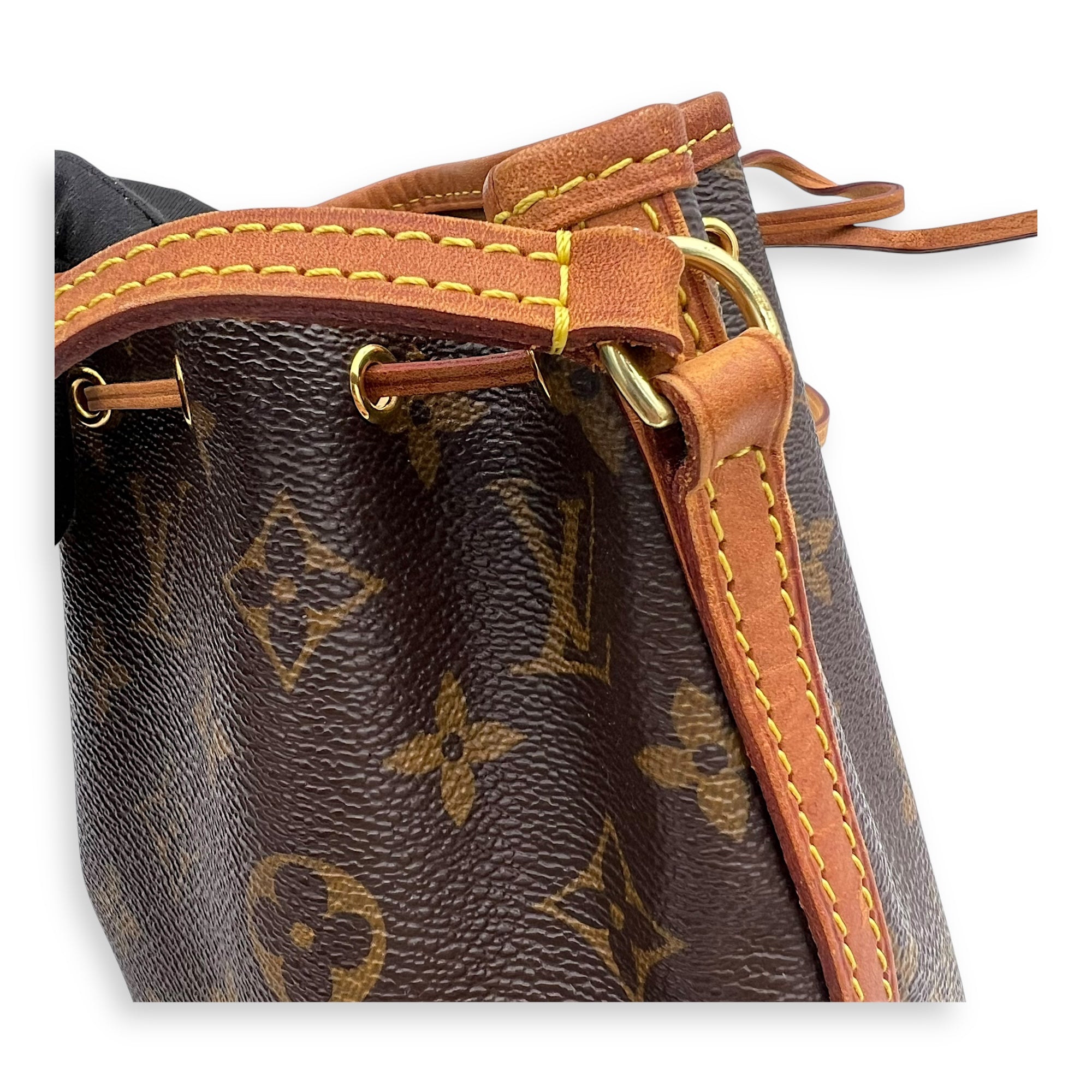 Noe Bucket Bag Nano Brown in Monogram Coated Canvas, Gold hardware - Image 9