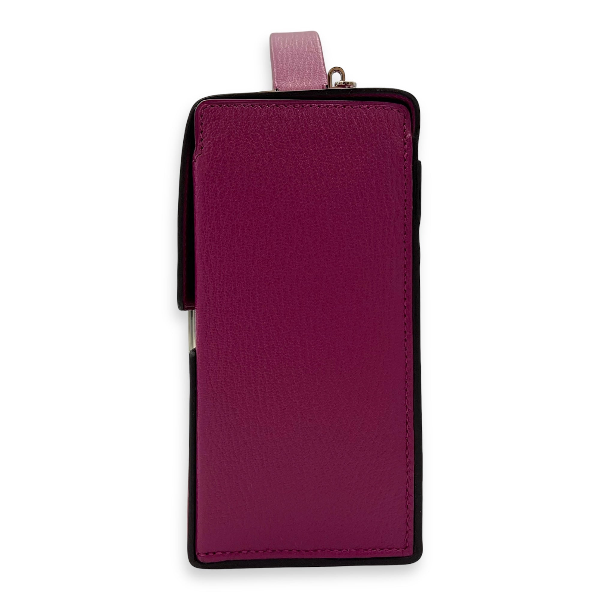 Cinhentic Poupre in Chevre Mysore, Palladium hardware - Image 5