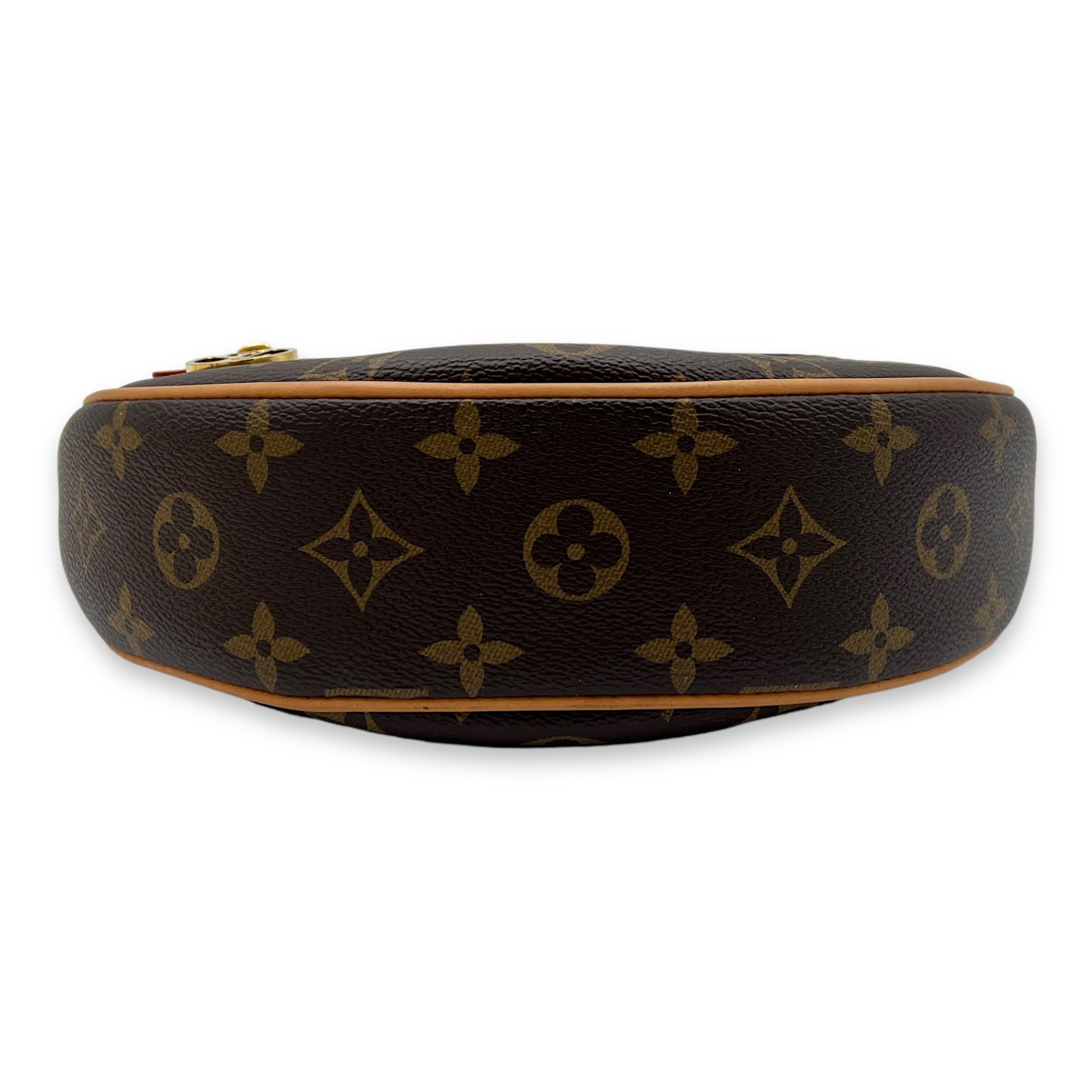 Loop Shoulder Bag Brown in Monogram Coated Canvas, Gold hardware - Image 6