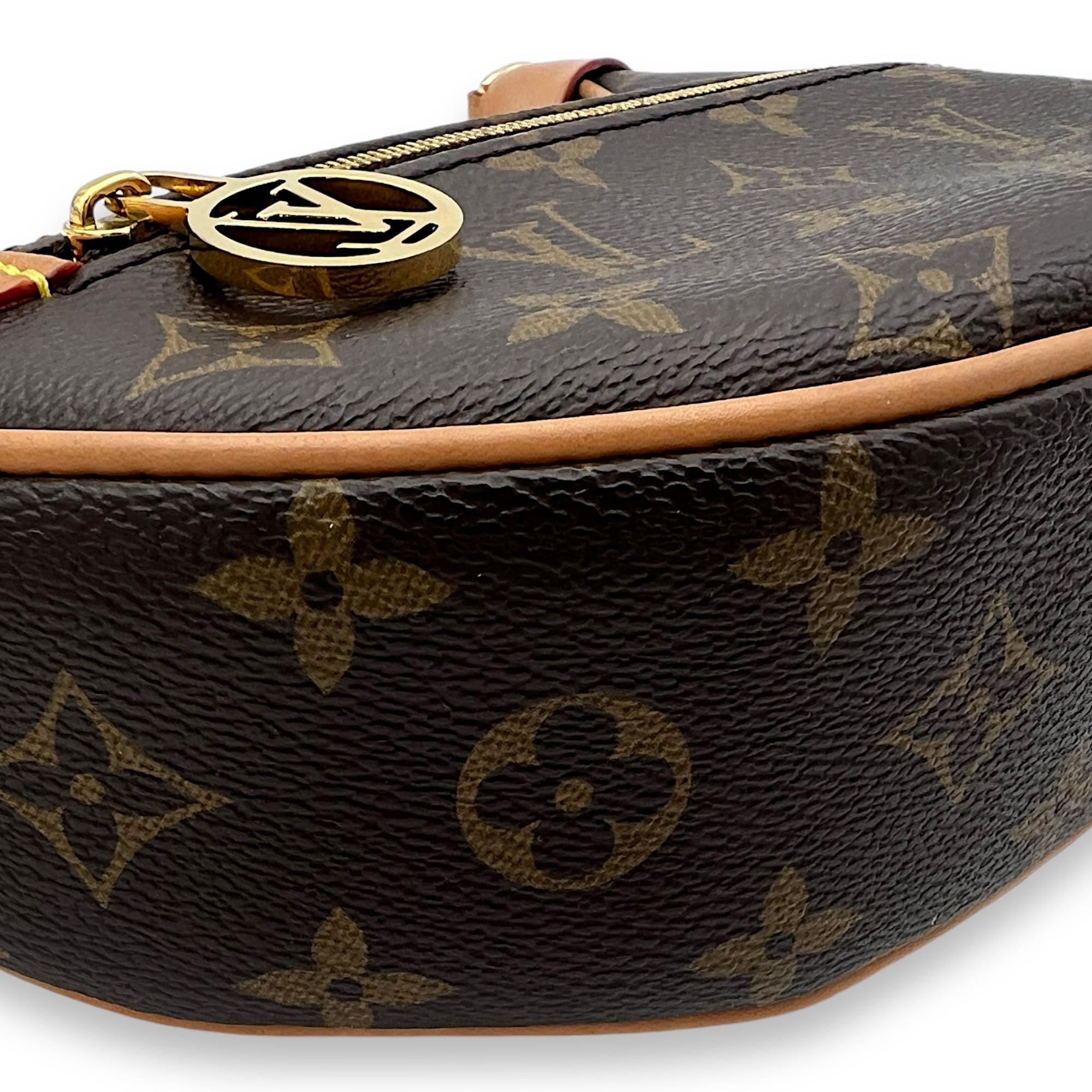 Loop Shoulder Bag Brown in Monogram Coated Canvas, Gold hardware - Image 10